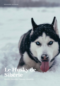 Découvre le Husky !