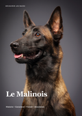 Découvre le Malinois !